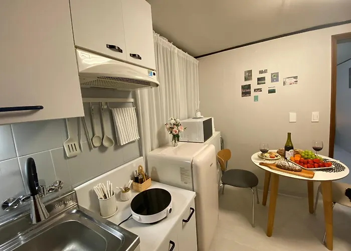 Apartment Camellia Olympic Park Kspo Jyp Dunchon Station 5 Minutes Jamsil Business Trip Performance Seoul