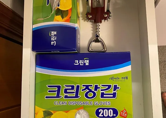 Apartment Camellia Olympic Park Kspo Jyp Dunchon Station 5 Minutes Jamsil Business Trip Performance Seoul